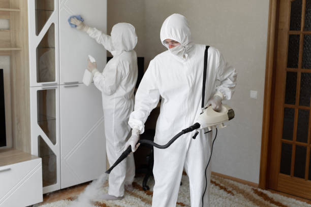 Certified Mold Removal in Homewood, SC