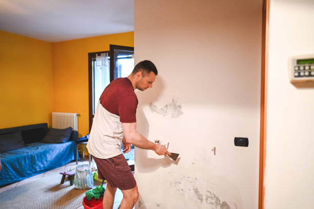 Professional Mold Removal in Homewood, SC